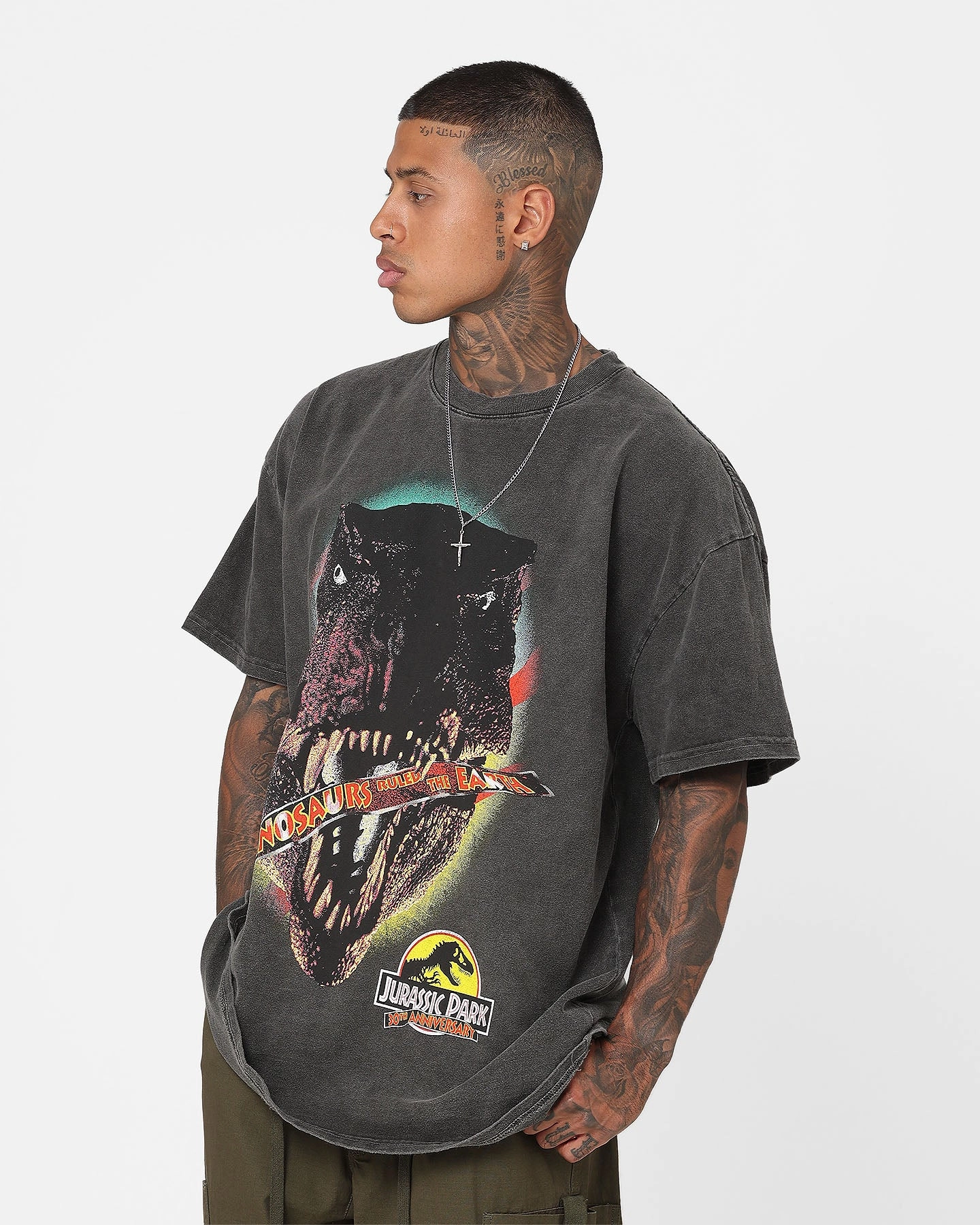 American Thrift X Jurassic Park 30th Anniversary Heavyweight Vintage T-Shirt Black Wash