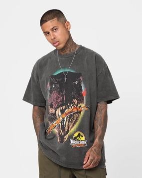American Thrift X Jurassic Park 30th Anniversary Heavyweight Vintage T-Shirt Black Wash