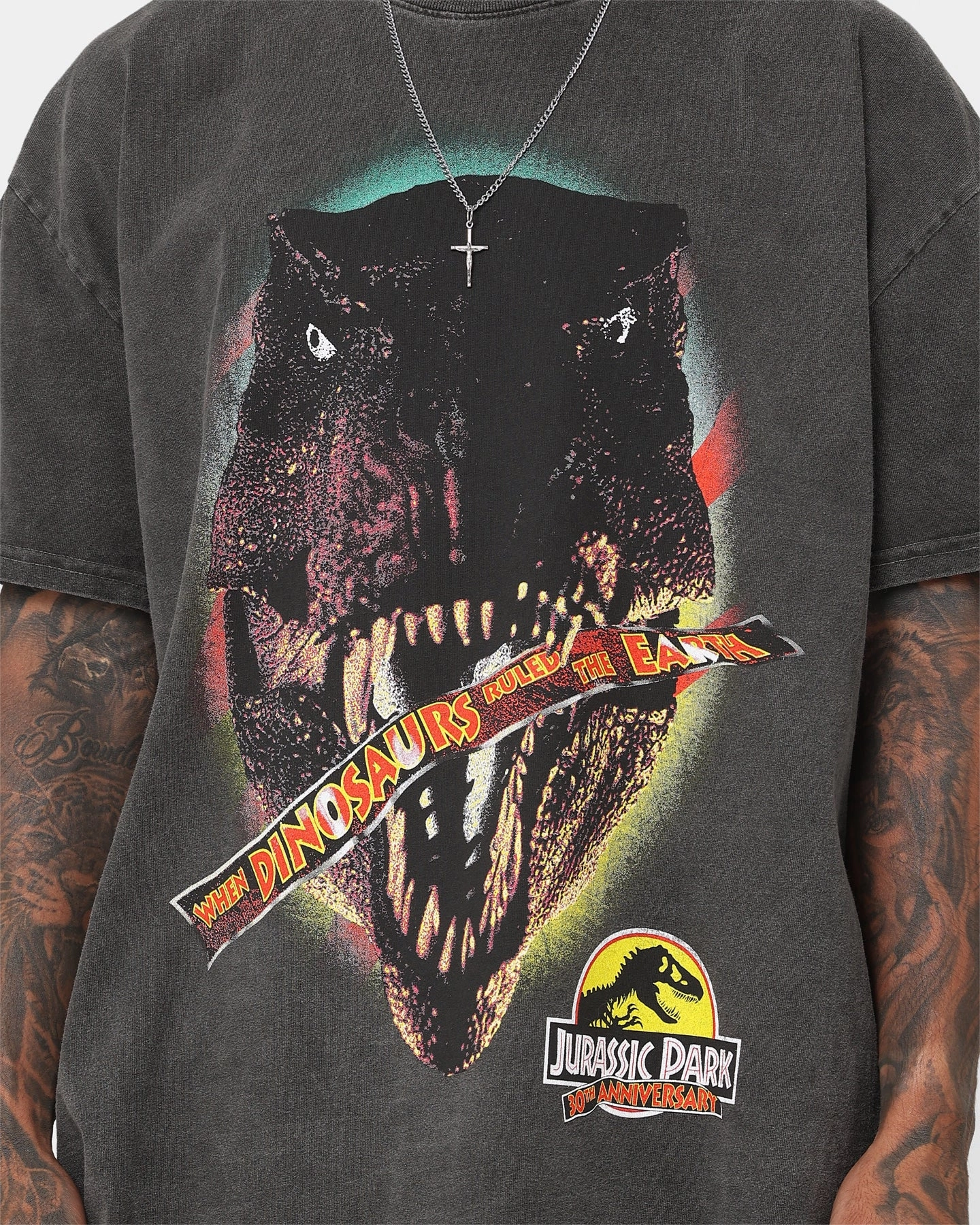 American Thrift X Jurassic Park 30th Anniversary Heavyweight Vintage T-Shirt Black Wash
