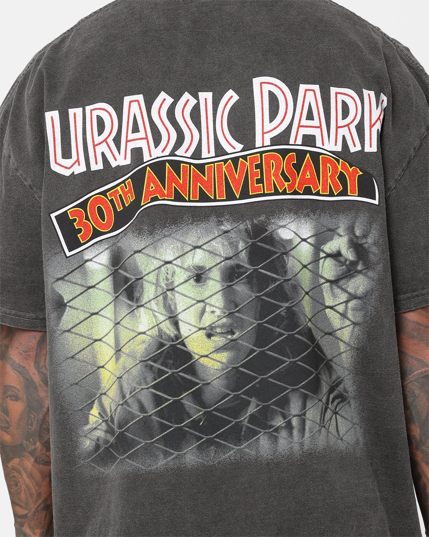 American Thrift X Jurassic Park 30th Anniversary Heavyweight Vintage T-Shirt Black Wash